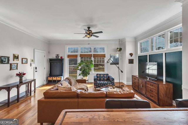 living area with ceiling fan, crown molding, baseboards, and wood finished floors