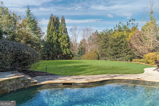 view of swimming pool featuring a lawn and a patio area