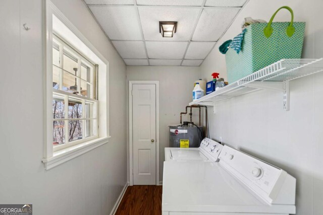carpeted bedroom featuring a drop ceiling, baseboards, and visible vents