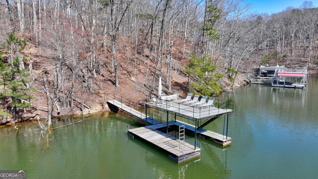 dock area with a water view