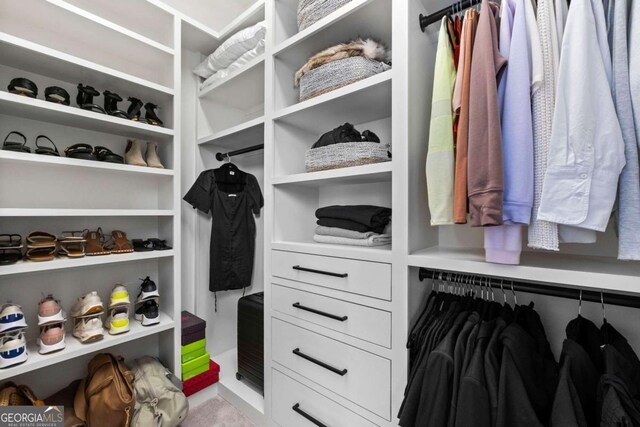 view of spacious closet