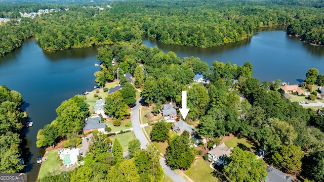 drone / aerial view featuring a water view and a view of trees