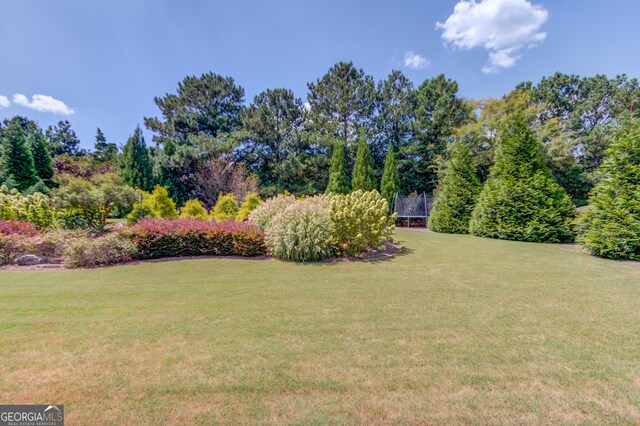 1433 Henderson Ridge Ln, Loganville, GA 30052 - view of yard with a trampoline