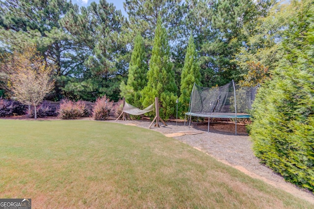1433 Henderson Ridge Ln, Loganville, GA 30052 - view of yard featuring a trampoline
