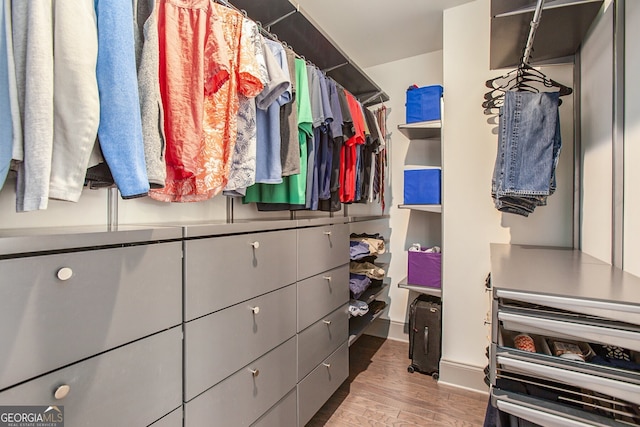 walk in closet featuring wood finished floors