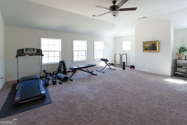 workout area with a wealth of natural light, baseboards, visible vents, and carpet flooring