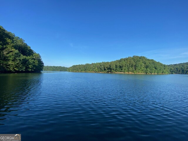 3928 Lake Ct, Gainesville, GA 30501 - water view with a forest view