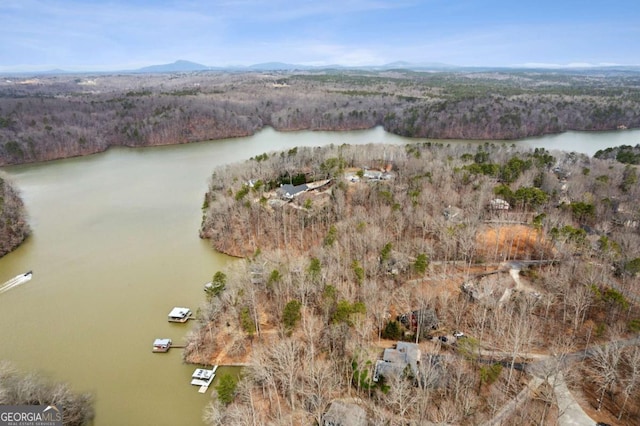 birds eye view of property featuring a water view and a wooded view