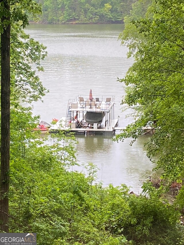 3928 Lake Ct, Gainesville, GA 30501 - dock area with a water view, a wooded view, and boat lift