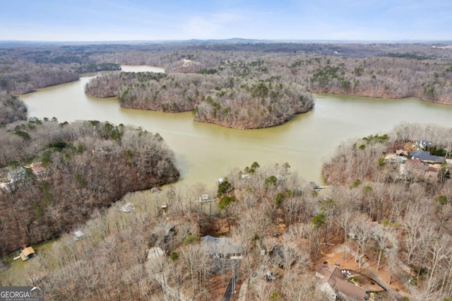 bird's eye view featuring a water view and a view of trees