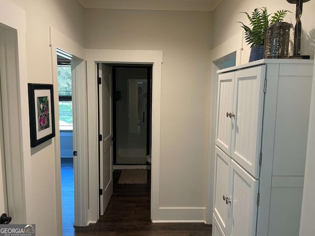 hallway with dark wood finished floors and baseboards