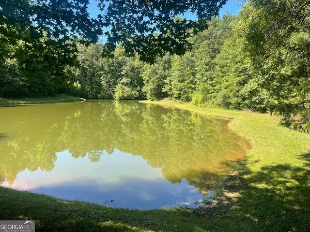 view of water feature with a wooded view