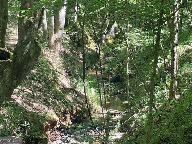 view of landscape featuring a wooded view