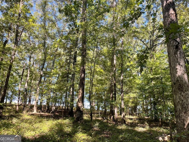 view of local wilderness with a forest view