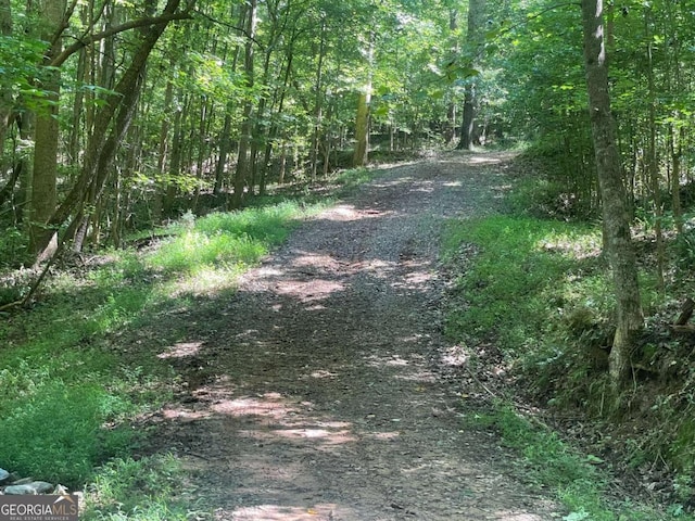 view of local wilderness with a view of trees