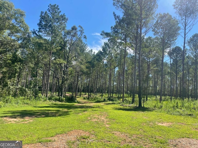 view of local wilderness