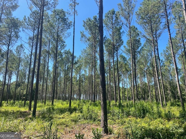 view of landscape featuring a forest view