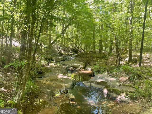 view of landscape with a wooded view