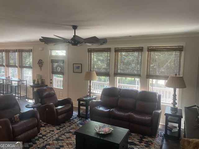 living room featuring a ceiling fan