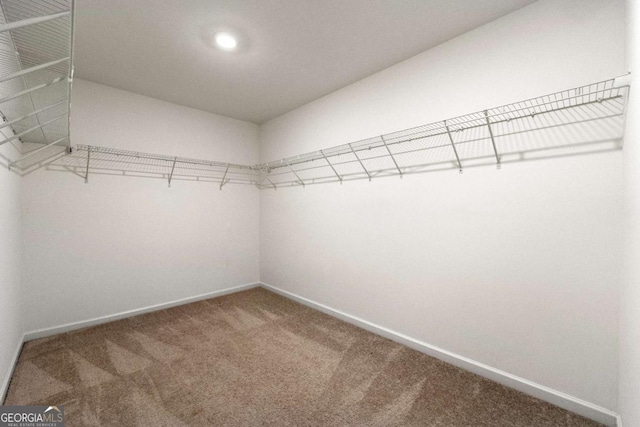 spacious closet with carpet