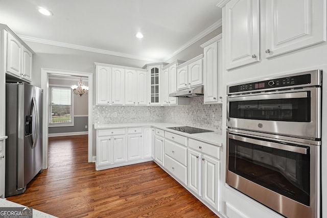 kitchen with stainless steel appliances, crown molding, under cabinet range hood, and tasteful backsplash