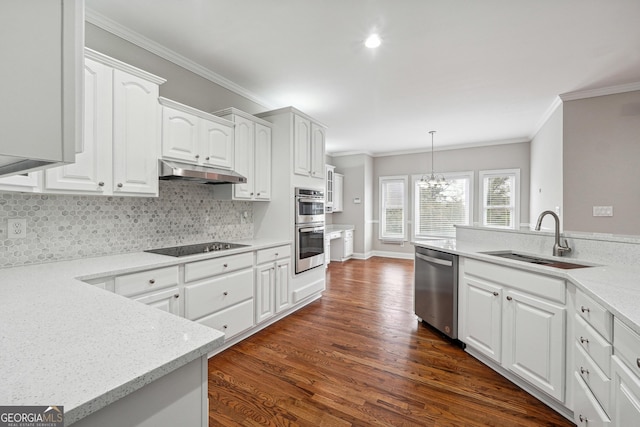 kitchen featuring ornamental molding, appliances with stainless steel finishes, a sink, and under cabinet range hood