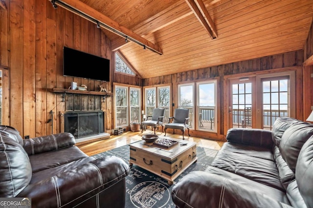 living area with a fireplace with raised hearth, wood walls, wood ceiling, beamed ceiling, and rail lighting