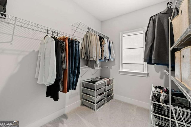 spacious closet featuring carpet