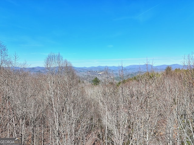 Listing photo 3 for 0 Brighton Drive Lots 20 & 21, Tiger GA 30576