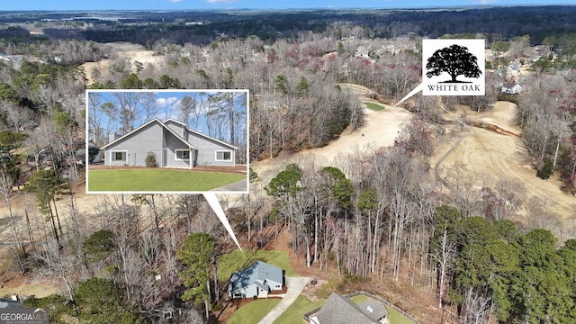 bird's eye view with a view of trees