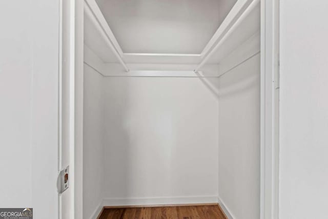 walk in closet featuring wood finished floors