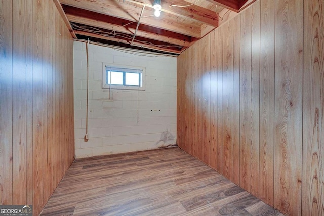 below grade area featuring wood walls and wood finished floors