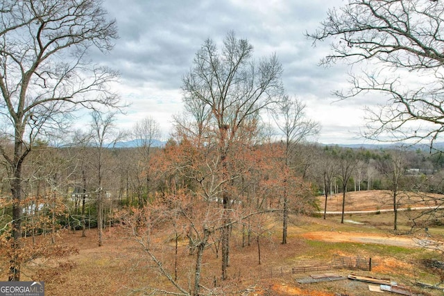 view of yard featuring a forest view