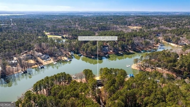 bird's eye view with a wooded view and a water view