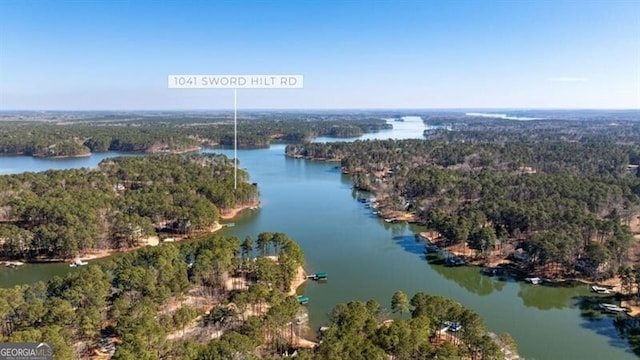 aerial view with a view of trees and a water view