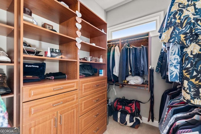 spacious closet with carpet flooring