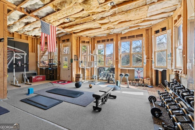 workout area featuring plenty of natural light