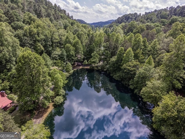 drone / aerial view with a forest view and a water and mountain view