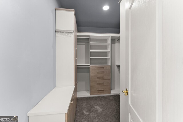 1348 Ewing Creek Dr, Dacula, GA 30019 - spacious closet featuring dark colored carpet