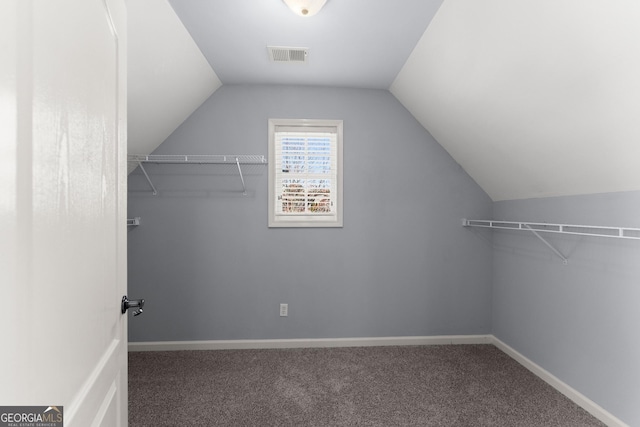 1348 Ewing Creek Dr, Dacula, GA 30019 - walk in closet featuring carpet and vaulted ceiling