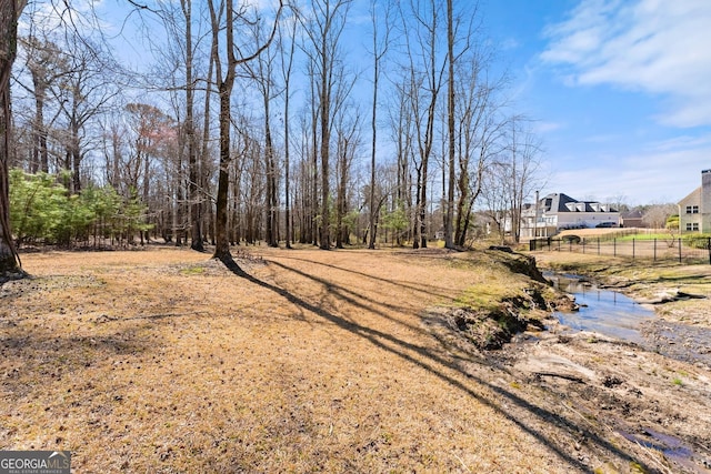 1348 Ewing Creek Dr, Dacula, GA 30019 - view of yard