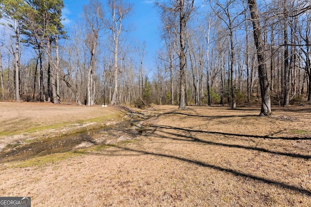 1348 Ewing Creek Dr, Dacula, GA 30019 - view of yard