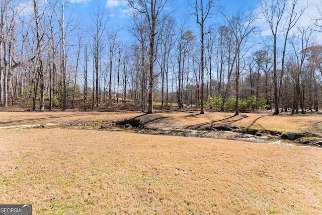 1348 Ewing Creek Dr, Dacula, GA 30019 - view of green lawn