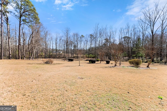 1348 Ewing Creek Dr, Dacula, GA 30019 - view of grassy yard