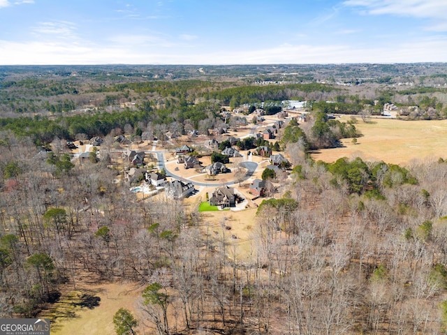 1348 Ewing Creek Dr, Dacula, GA 30019 - aerial view of property and surrounding area