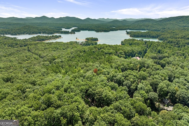 aerial view with a forest view and a water and mountain view