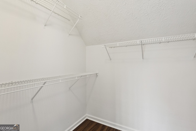 spacious closet featuring dark wood-style flooring