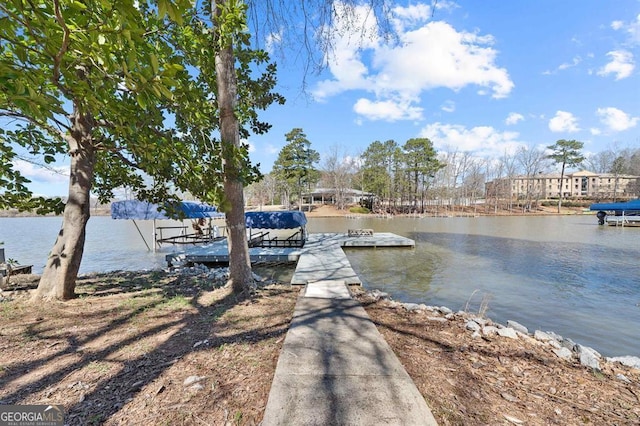 dock area with a water view