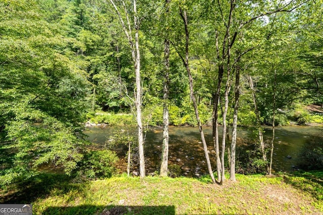 view of local wilderness featuring a wooded view