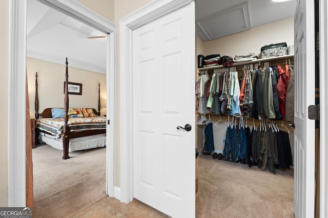 interior space featuring attic access and carpet